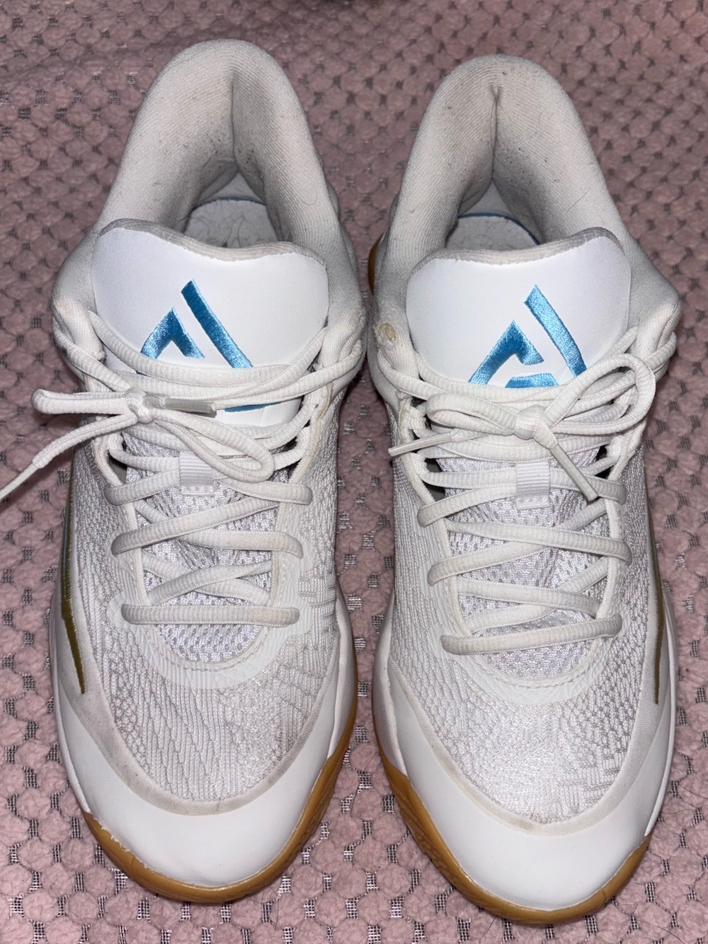 Nike White Athletic Sneakers with Blue Logo and Gum Outsole